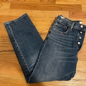 Aritzia Denim Forum the arlo high rise straight jean